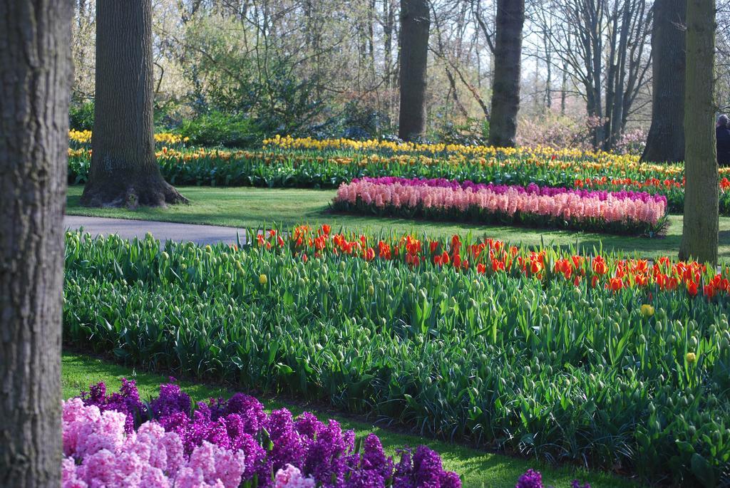 Vakantiepark Delftse Hout エクステリア 写真
